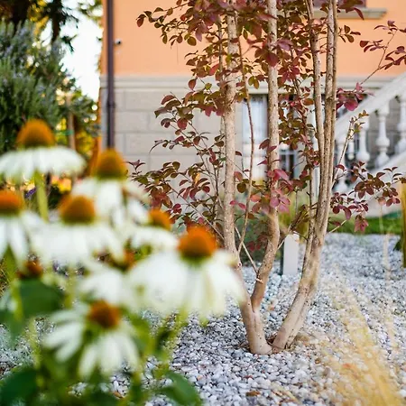 Ca' Delle Contesse - On Lagoon With Private Dock And Spectacular View Villa Venezia Lido